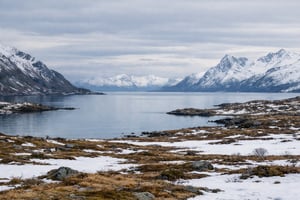 Nordiskt vinterlandskap-1
